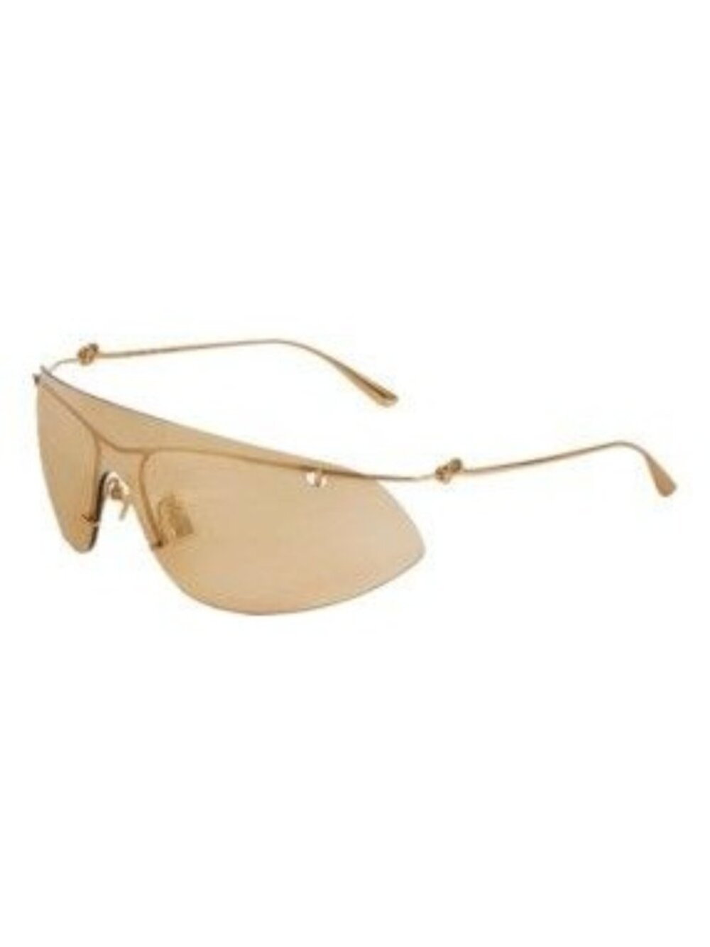 NWT Bottega Veneta BV1272S 003